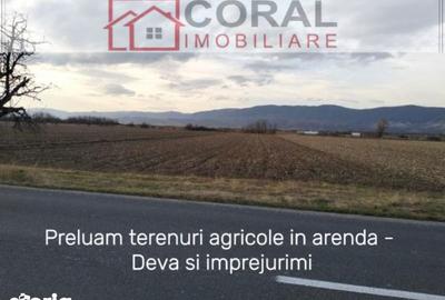 Teren de 1000 mp, în Decebal - 2