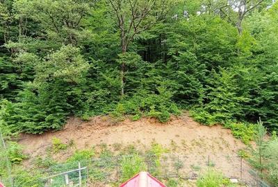 Hotel/Pensiune, de 1,500 mp, în Vâlcele - 14