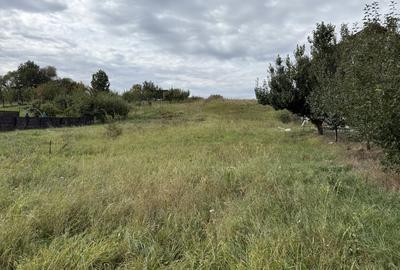 Teren Construcții intravilan de 1946 mp, în Exterior Nord