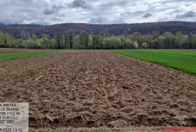 Casă individuală cu 5 camere cu Teren 15000 Mp în Dosu Râului - 6