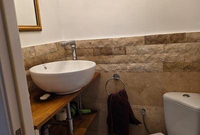 Stefan Cel Mare, bulevardul Lacul Tei, in vila - 3