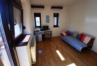 De vanzare Vila zona Bogdanestilor- 703 - 5