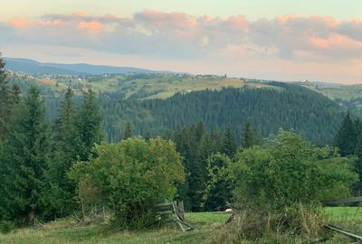 Spațiu comercial, în Mărișel - 5