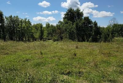 Casă cu 3 camere în Buduș - 4