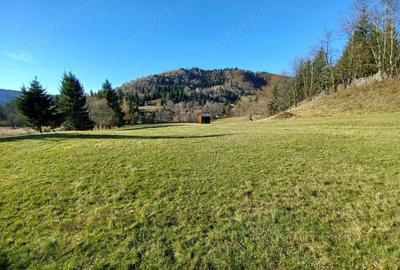 Teren de 8000 mp, în Vama - 6