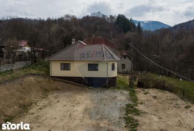 Casă cu 3 camere cu Teren 2497 Mp în Central - 11