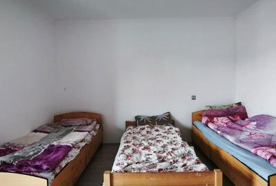 Casă cu 4 camere în Criș - 8