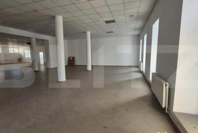 Spațiu comercial, de 773 mp, în Lucian Blaga - 3