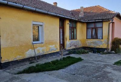 Casă cu 3 camere cu Teren 1522 Mp în Cenad - 4