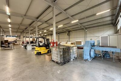 Hala industriala 1035 mp utili |  Zona Mehala - 3