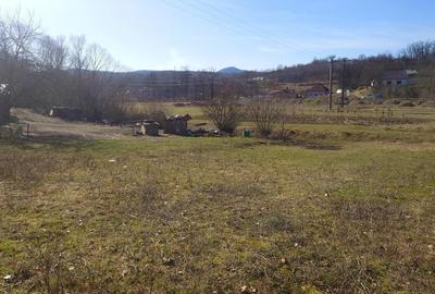 Teren Construcții intravilan de 3384 mp, în Sud-Est - 5