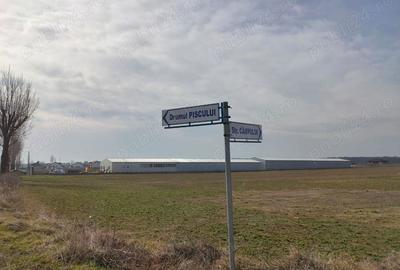 Teren de 7800 mp, în Ciolpani - 2