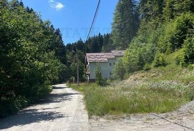 IDEAL INVESTITIE TEREN PREDEAL, 1936 mp intravilan, toate utilitatile, padure - 5