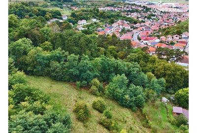 Teren intravilan de aproape 3 ha la liziera pădurii | cartierul Gloria - 4