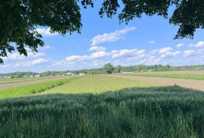 Teren de 4000 mp, în Frătăuții Vechi - 3