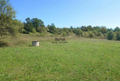 Teren de 8757 mp, în Luncoiu de Sus - 14