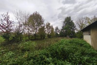 Casă cu 2 camere cu Teren 3000 Mp în Pădureni - 5