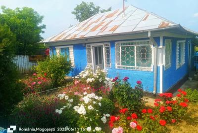 Casa si teren in loc Mogosesti jud Ia?i Casa si teren in loc Mogosesti jud Ia?i - 1