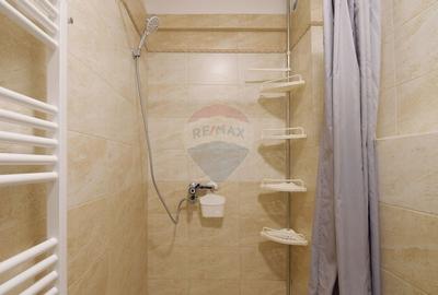 Apartament cu 2 camere terasa si garaj subteran de inchiriat in Baciu - 5