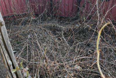 Casa 6 camere libera la vanzare RASNOV - 27