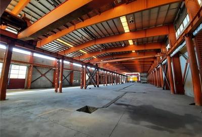Spatiu Industrial - 3600 mp - Productie - Depozitare - Distributie - 4