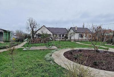 Casă cu Teren 1457 Mp în Rudna - 16