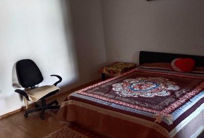 COLENTINA RAU BACILA  ANL- LANGA PARC, MC DONALDS - 8