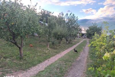 Casă cu 4 camere în Baisa - 4