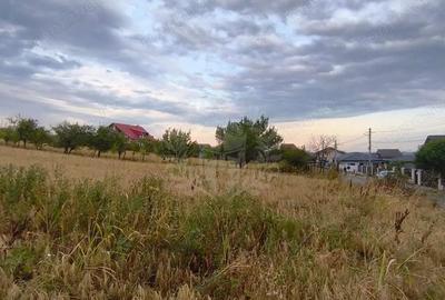 Teren de 10000 mp, în Păulești