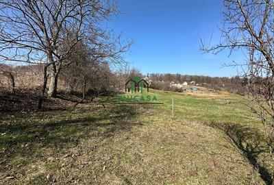 Teren Govora / 8131mp - 1