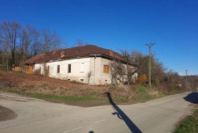 Vand Casa-Conac in Zgribesti -Timis - 3