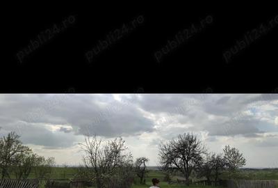 Casă cu 5 camere cu Teren 3313 Mp în Hodiș - 10
