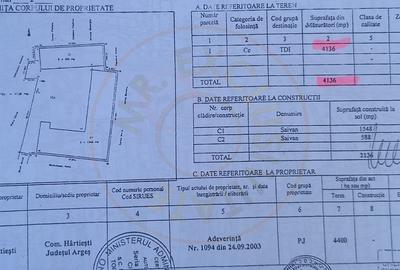 Proprietate industriala de vanzare - Hartiesti, jud. Arges - 5