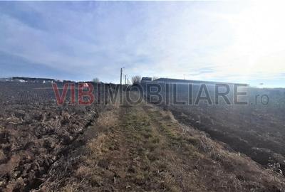 Teren intravilan de 28000 mp, în Odăi - 8