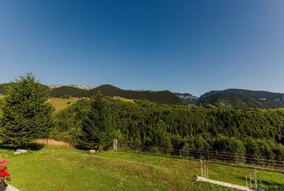 Sat Pestera,  Rezervatia Piatra Craiului, Brasov, Casa  plus teren 10 621 m - 3