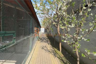 Casa tip P+M zona Lipia - 24