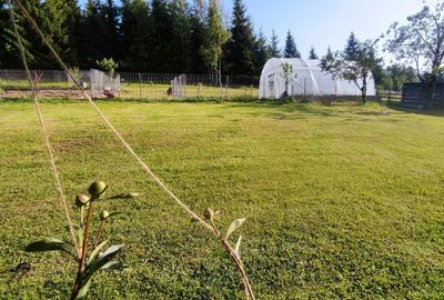 Casă cu 4 camere cu Teren 3125 Mp în Central - 8