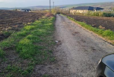 Spațiu comercial, în Alexandru cel Bun - 2