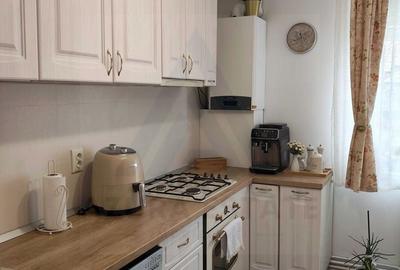 Apartament cu 2 camere decomandat, mobilat în Terezian - 5