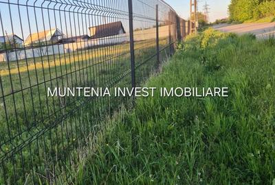 Teren de 3533 mp, în Poiana Lacului - 7