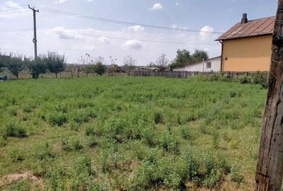Teren de 800 mp, în Rovine - 3