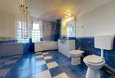 Casă individuală cu 6 camere cu Garaj în Pădureni (Jebel) - 9