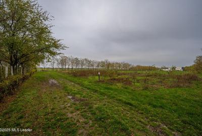 Teren în Afumați - 9