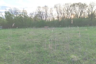 Teren ideal pentru casa de vacanta sau locuinta permanenta, la marginea padurii - 7