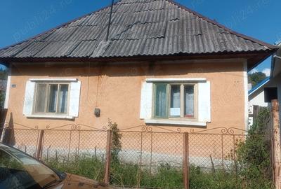 Vand casa cu curte(261m3) +gradina (781m3) - 3
