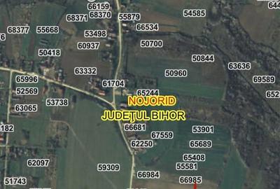 Spațiu comercial, în Păușa - 13