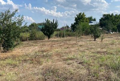 Spațiu comercial, în Petrești - 7