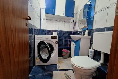 Apartament cu 3 camere decomandat, mobilat în Buziașului - 19