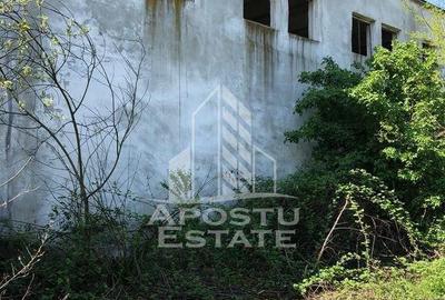 Teren de 8000 mp, în Micălaca - 7