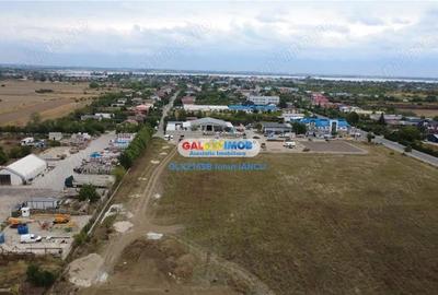 Teren Mihailesti Penny - 9